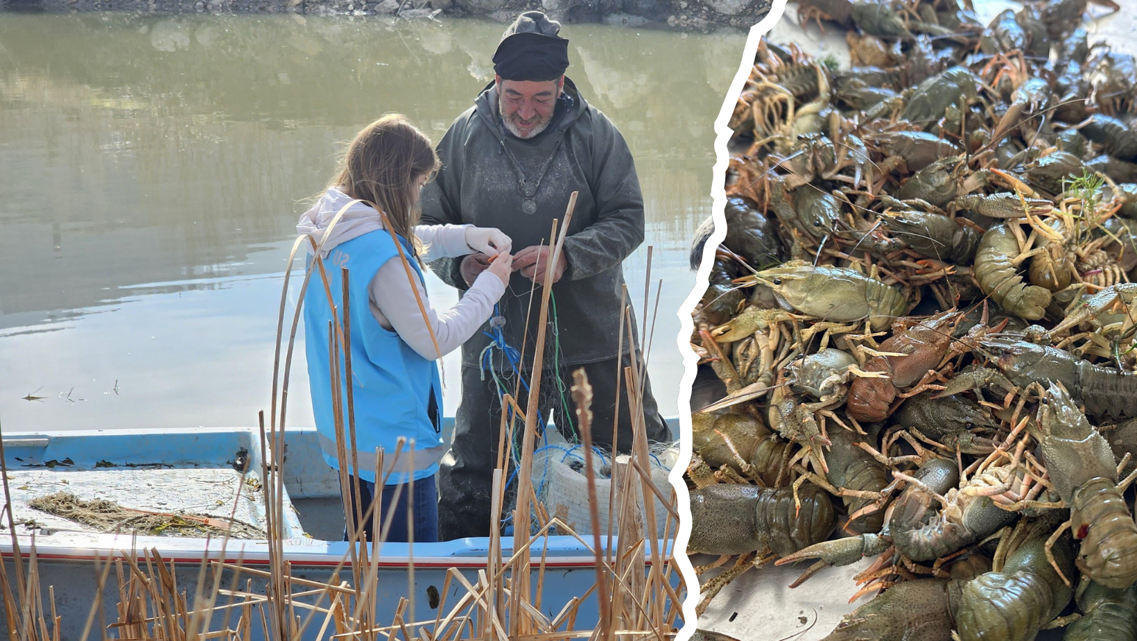 Kerevit Av Yasağı Başladı