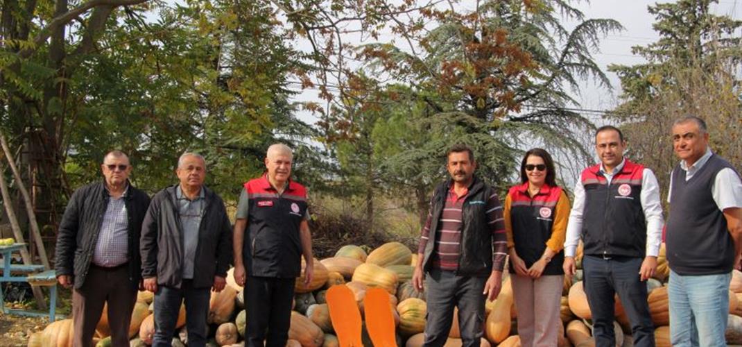 İl Tarım ve Orman Müdürü’nden Bal Kabağı Üreticisine Ziyaret