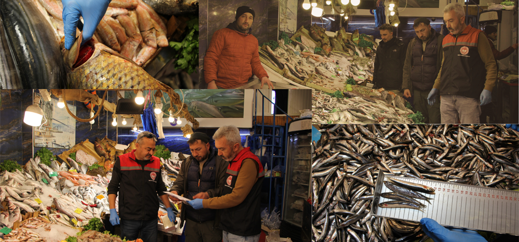 İlimizde Perakende Balık Satış Yerlerine Yönelik Denetimler Gerçekleştirildi