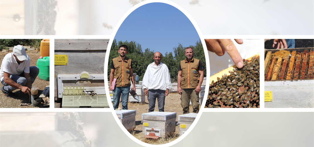 Isparta’da Arılı Kovan Sayısı Artıyor, İl Tarım ve Orman Müdürlüğü Üreticinin Yanında